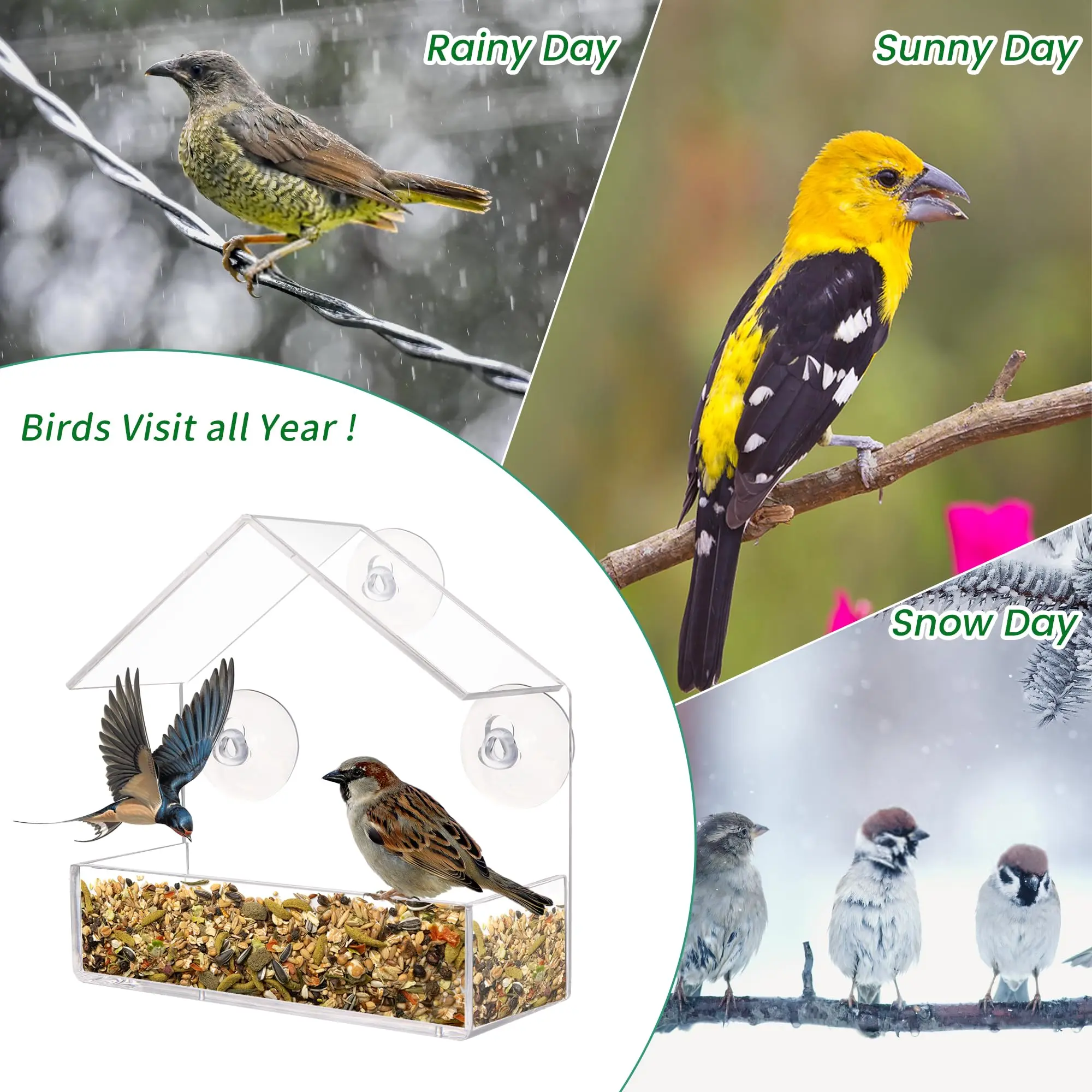 Acrylic Window Bird Feeder, Transparent Design with Window Mount and Drainage Holes for Outdoor Bird Watching, Birds, Transparent Look