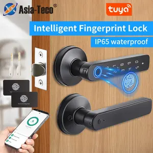 Intelligent Fingerprint Door Lock, Smart Handle Lock, Biometric Door Lock, Waterproof Fingerprint Door Lock with Password Keyboard, Suitable for Home Bedrooms, Hotels, Offices, Apartments
