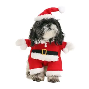 Santa Pet Costume