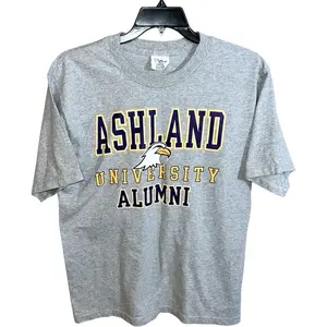 Vintage College Graphic Tee, Retro Eagle Mascot Shirt, Gray Campus Pride Top, Classic University Spirit Apparel Gift, Crewneck TShirt, Trending Shirt
