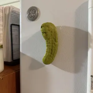 Picolas Cage Fridge Magnet, 3D Nicolas Cage Funny
