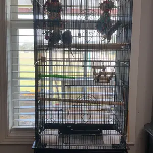 Segawe 59'' Bird Cage Large Wrought Iron Cage for Cockatiel Sun Conure Parakeet with Rolling Stand