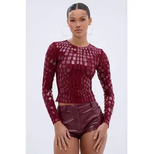 CAN SEE RIGHT THROUGH YOU MESH LONG SLEEVE TOP