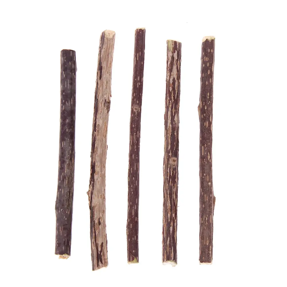 5pk Natural Wood Catnip & Silvervine Chew Sticks - 4-7in Eco-Friendly Cat Dental Oral Care Toothbrushes for Teeth Cleaning, Healthy Gums, Stress Relief, Dental Health Boost, Reduces Stress