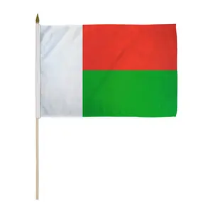 Madagascar 12x18in Stick Flag