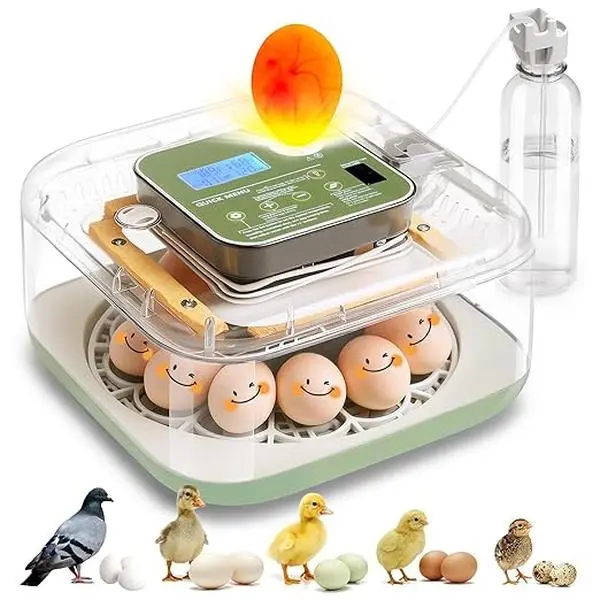 12-Egg Automatic Incubator with Egg Turning & HumidityControl for Chickens Ducks Geese Quails Pigeons &Turkeys Ideal for Families Science Classrooms Labs &Farms