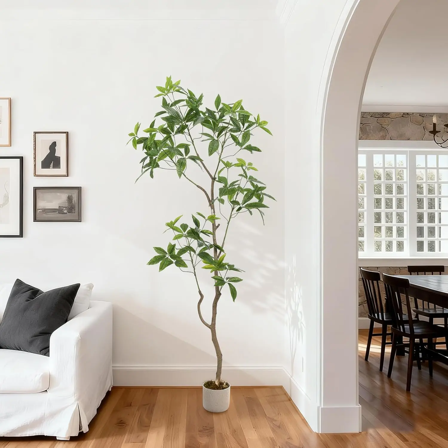 6.5 ft Artificial Schefflera Umbrella Tree in Pot, Evergreen Schefflera Tree with Realistic Leaves & Trunk, Fake Floor Plant for Front Door Home