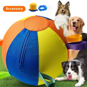 Pet Dog Toy Inflatable Ball Pattern, Interactive Pet Toy, Dog Training Play Ball, Suitable for Large Medium Small Dogs