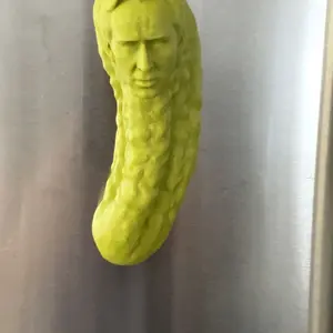 Picolas Cage Fridge Magnet, 3D Nicolas Cage Funny