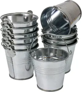 GIFTEXPRESS 48 Pack Mini Metal Buckets with Handles, Small Galvanized Tin Pails for Party Favor, Succulent, Wedding AGG