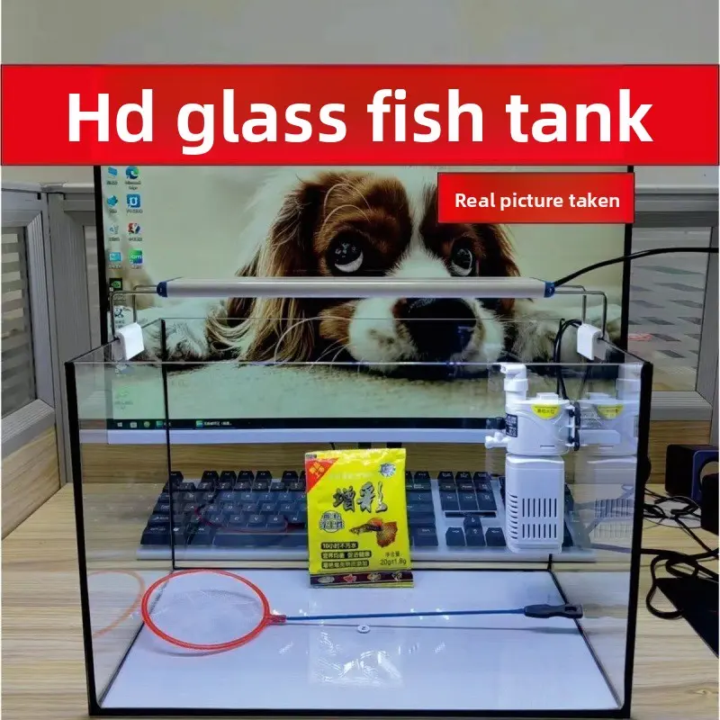 20*14*16 luxury package with lights and filter pum