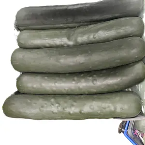 Viral Squishy Pickle - Soft and Fun Toy for Kids