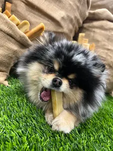 Small Yak Chews - 1 oz