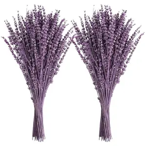 Dried Lavender Flowers, 16" Dried Lavender Bundles, Dried Purple Preserved Lavender Bouquet for Weeding Home Fragrance Vase Crafts Decor, 50g (1.76oz)