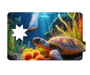 4 pack of Turtle Credit Card Skin - Vinyl Sticker with Star Cut-Out for Chip - Customizable Debit Card Cover - Quality Decorative Sticker for Smooth Surfaces