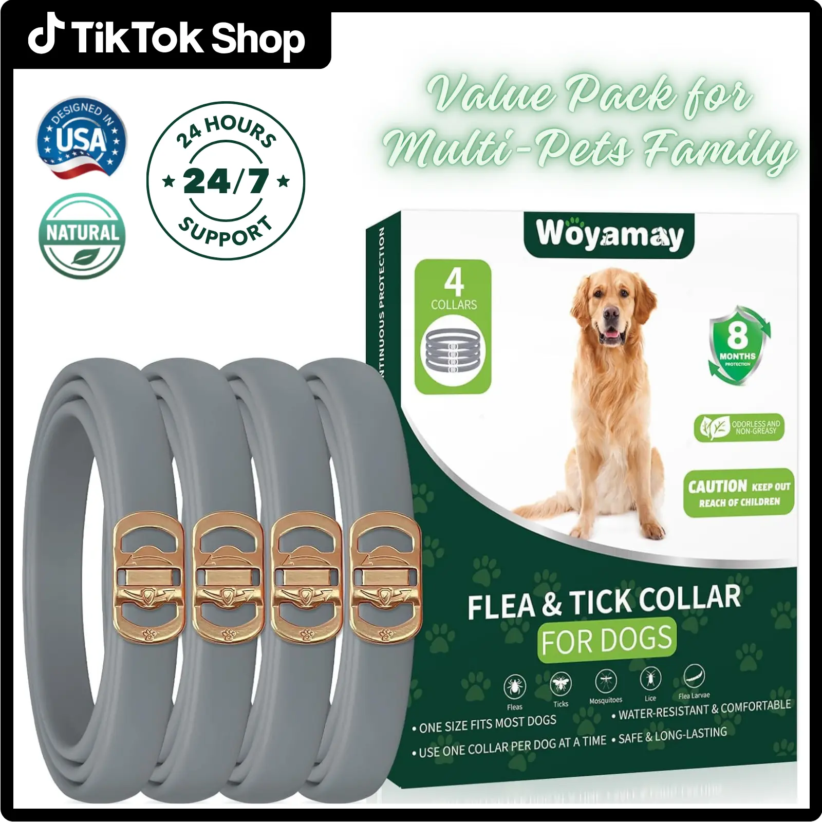 Grey Dog Collar Golden Buckle