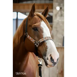SANDSTORM LEATHER HALTER