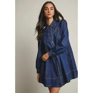 Emery Denim Long Sleeve Mini Dress