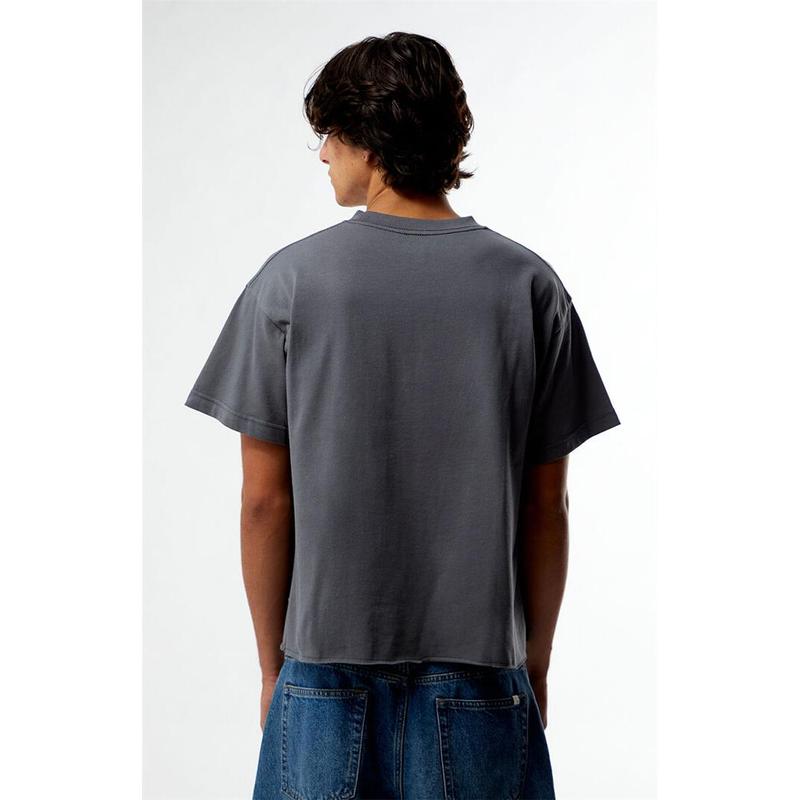 Pacsun Men's Premium Cropped T-Shirt