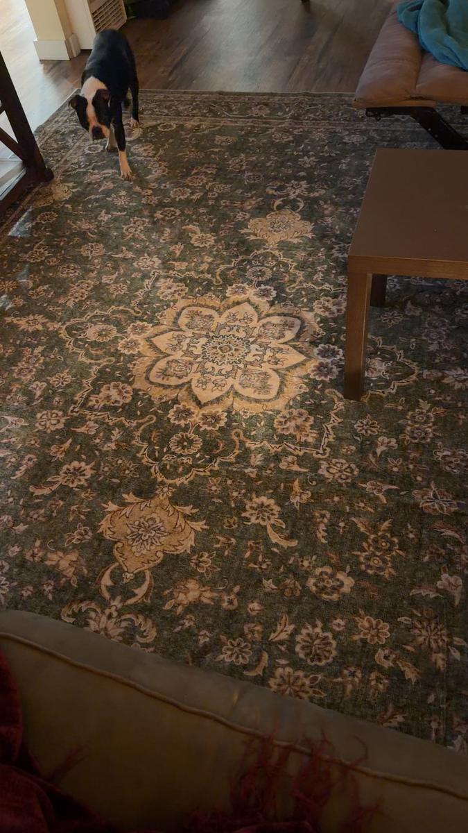 Item: Antheia - Green, 8x10 ft