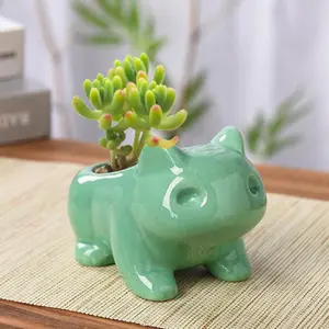 Succulent Pots Frog Flower Pot Ceramic Succulent Planter for Indoor Outdoor Cactus MIni Plants