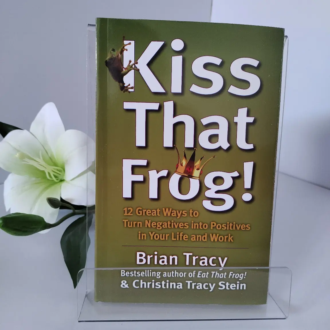 Kiss That Frog Book by Born Tracy, Official Edition, Engaging Storytelling, Ideal Gift for Literature Enthusiasts