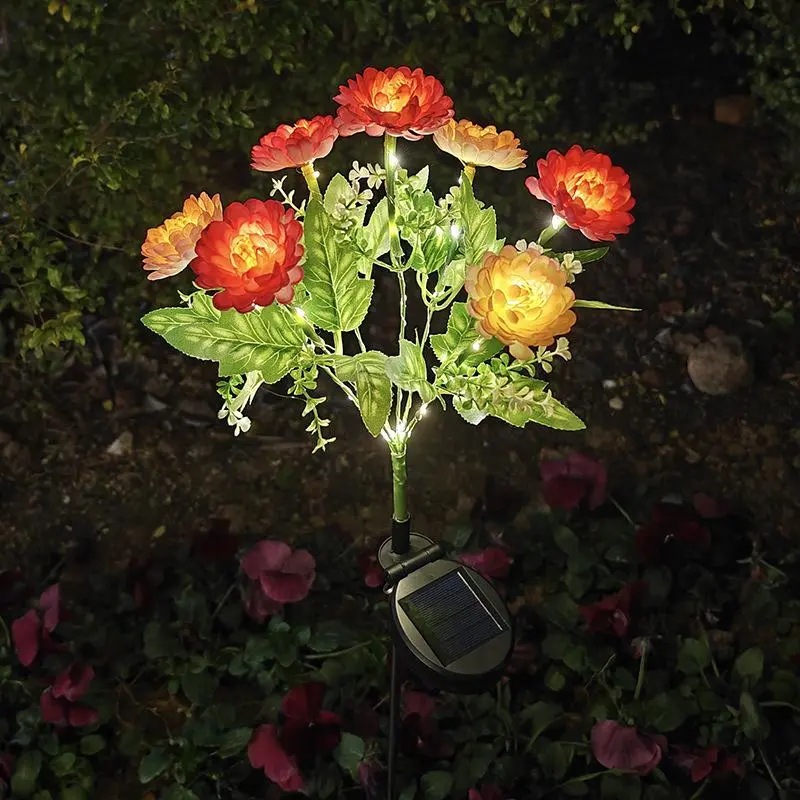 7 heads snow lotus pink