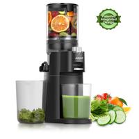 Slow Masticating Juicer