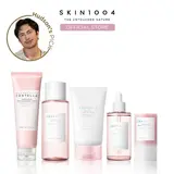 [SKIN1004 Official Shop] Perfect Pore Set | Deep Cleansing Foam + Pink Clay Stick Mask + Toner + Ampoule + Light gel cream