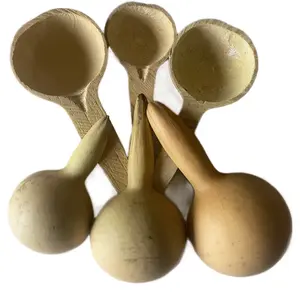 6 African Calabash Spoons/ Galaman