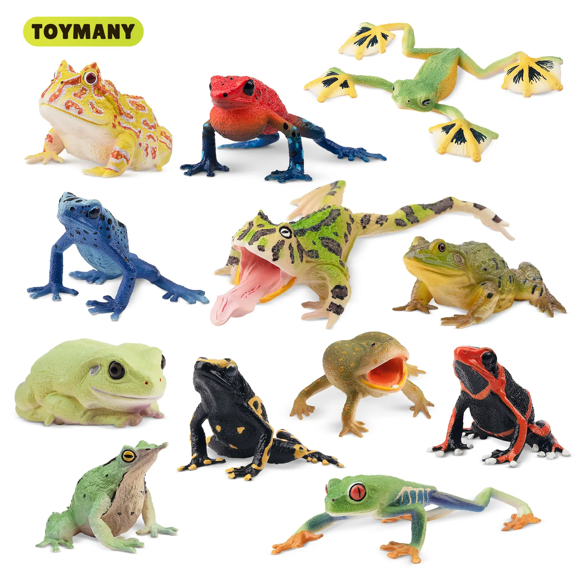 TOYMANY 12Pcs Realistic Poison Dart Frog PVC Figure Playset, Collectible Action Figures, Animal Decor, Cake Topper