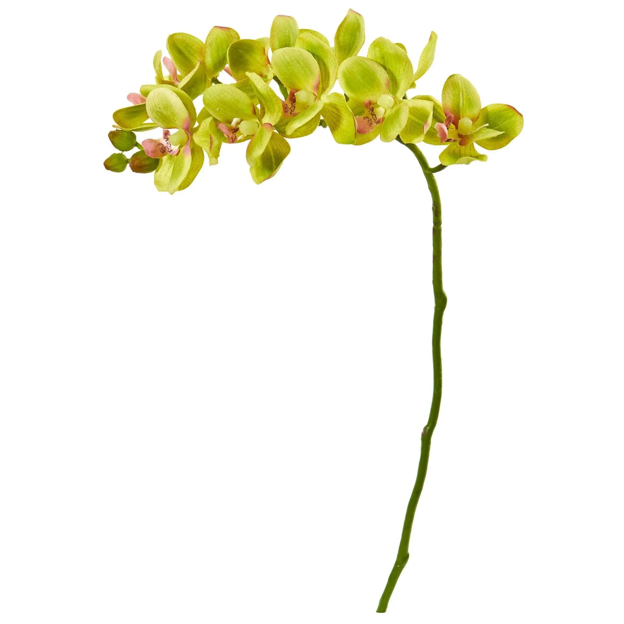 21" Long Bold Synthetic Phalaenopsis Orchid Plants (6 Stems, Set of 6) - Decorative Home Decor Arrangement for Wedding