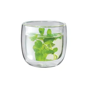 ZWILLING Sorrento Double-Wall Glass Tea Cup Set