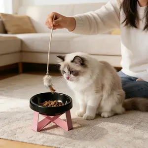 High-value 15 ° tilt anti-vomiting elevated pet feeding bowl, tall cat and dog bowl, pet feeding bowl, protective cervical spine and spine design, non-slip wide base, durable plastic material, suitable for cats and small dogs,