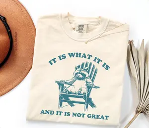 It Is What It Is And It Is Not Great Shirt, Funny Raccoon Shirt, Meme Shirt, Y2k Shirt, Retro Meme Shirt, Funny Saying T-shirt, 4th of July Shirt - LORA ATCHER