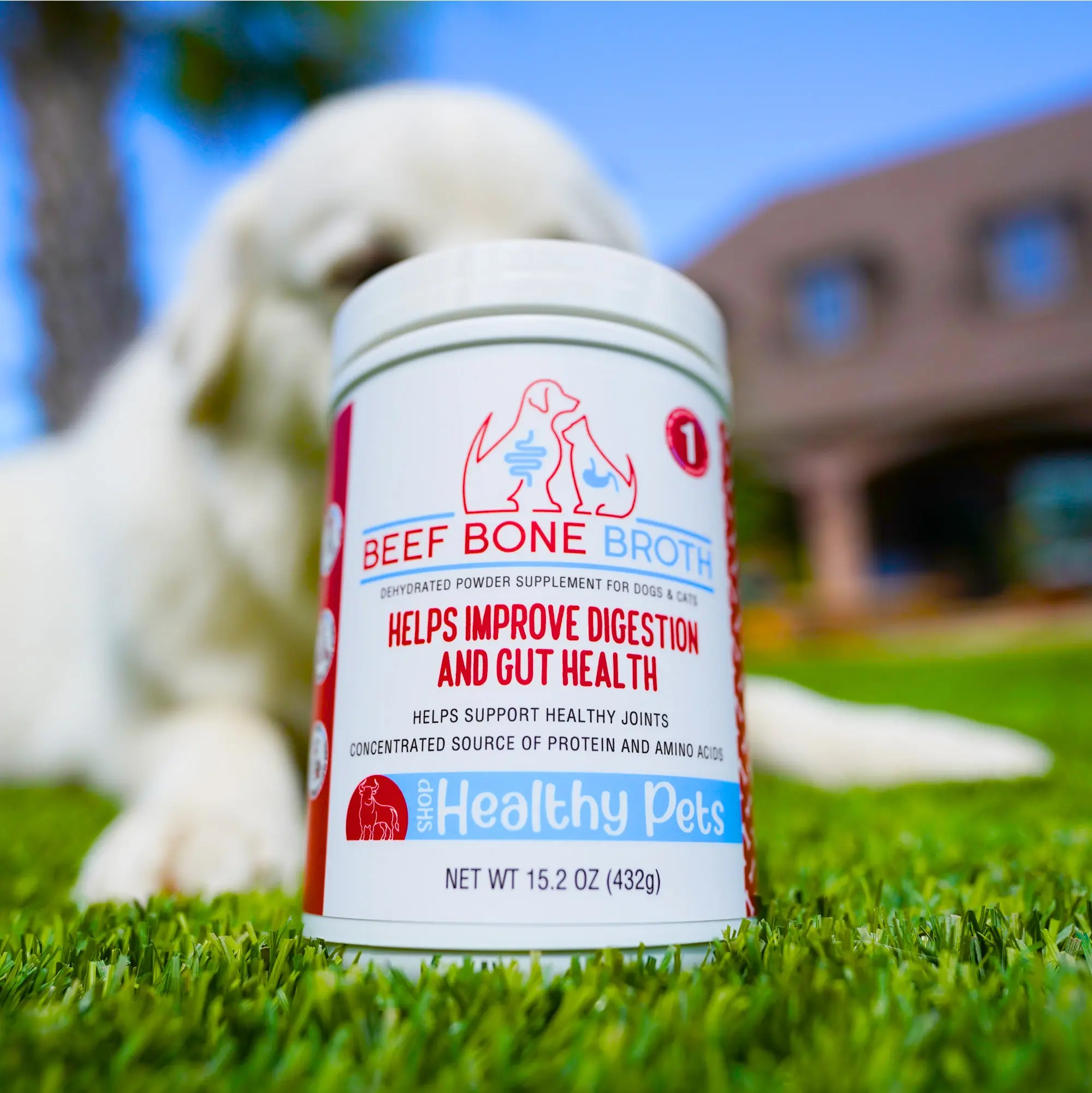 Beef Bone Broth for Dogs & Cats, Concentrated Source of Protein, Contains Amino Acids, Helps Improve Digestion, Supports Healthy Joints