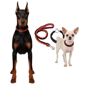 Braided Nylon Dog Leash & P-Chain Collar Combo - Sturdy No-Pull Training Lead for Strong Large Breeds | Durable Tangle-Free Design for Daily Walking & Obedience Training