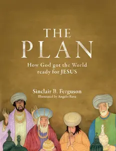 USED-The Plan: How God Got the World Ready for Jesus by Ferguson, Sinclair B. (Hardcover)