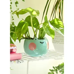 Ebbo Frog Planter