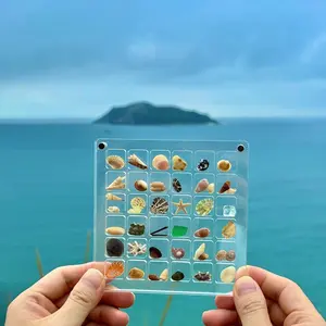 36-grid Clear Acrylic Shell Display Box without Shell, 1 Count Magnetic Shell Storage Box, Stackable Acrylic Jewelry Organizer Storage Box for Beaded Jewelry