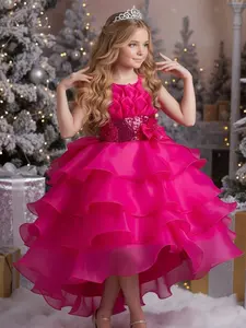 Girl's Contrast Mesh Bow Decor Tiered Layer Fit and Flare Dress, Elegant Sleeveless Round Neck Contrast Sequin Party Dress for Birthday Party Performance Show Wear, Kids Clothes for All Seasons, Birthday Dresses, Girl Clothes