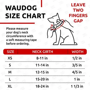 Long Lasting Leather Dog Collar for XSmall Dogs 811 inch Neck x 0.5 inch Wide