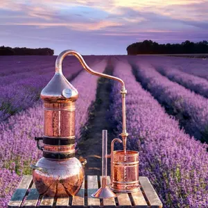 Appalachian Valley Natural Products Lavender Essential Oil 20ml - 100% Natural, Ideal for Healthcare & Healthy Living Aromatherapy Aromatherapy