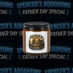 Father’s Day Special Candle | Christmas Warmth Scent | Spencer’s Aquariums