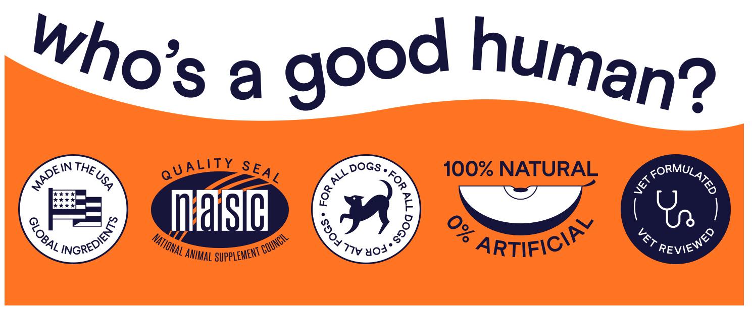 Hip & Joint -   With Glucosamine, Chondroitin, MSM, Turmeric & Green-Lipped Mussel to support healthy hips, joints & mobility