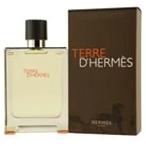 Terre D'hermes By Hermes Edt Spray 6.7 Oz