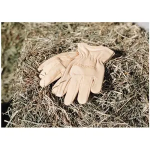 Hay Chix Leather Chore Gloves Ladies, Large