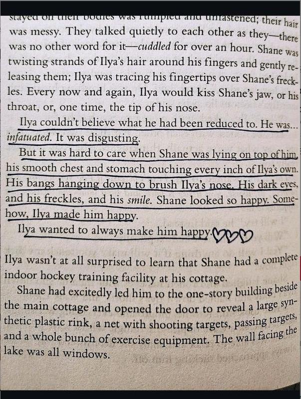 Game Changers Series by Rachel Reid Game Changer, Heated Rivalry, Tough Guy, Common Goal, Role Model – MM Hockey Romance Books LGBTQ