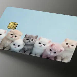 Purr-fect Plastics: Furry Friends for Your Finances!