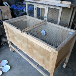 Brooder chicken quail